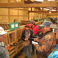 MANEJO DEL TERNERAJE EN CUNAS