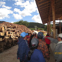 PRODUUCION Y PROCESAMIENTO DE LA MADERA