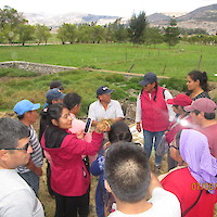 CONSERVACION DE FORRAJES - ENSILADO DE CHALA