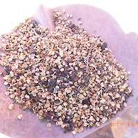 Con fines de mejorar la superficie se procedió con la recolección de semillas de especies de la zona “Tola”